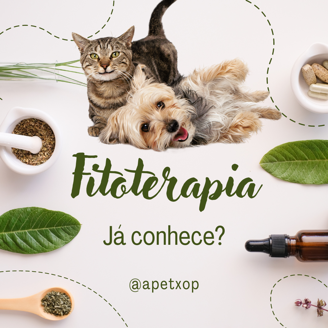 Fitoterapia para Animais de Estimação