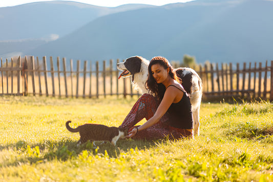 Atividades ao Ar Livre com Animais de Estimação: Dicas Ecológicas para um Dia Perfeito na Natureza