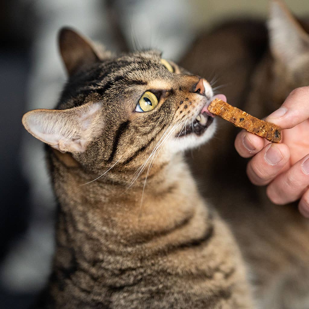 Rub Dental Stick de Frango para Gatos 100g - Tamanho Pequeno 1x1 - 100% Naturais