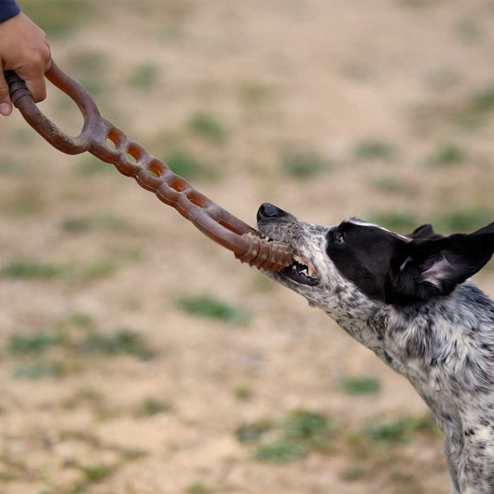 Rub Heavy Dity - Brinquedo Orgânico para Cão