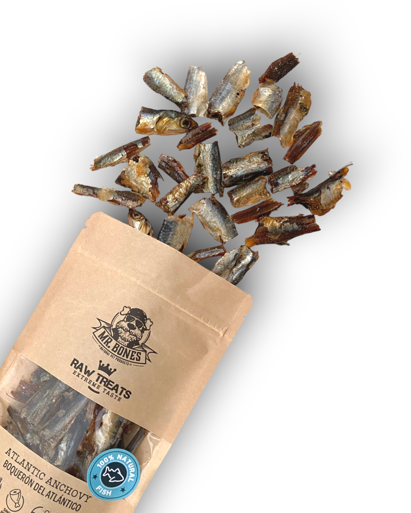 Raw Treats Anchovas do Atlântico - Snack 100% Natural para Cães e Gatos