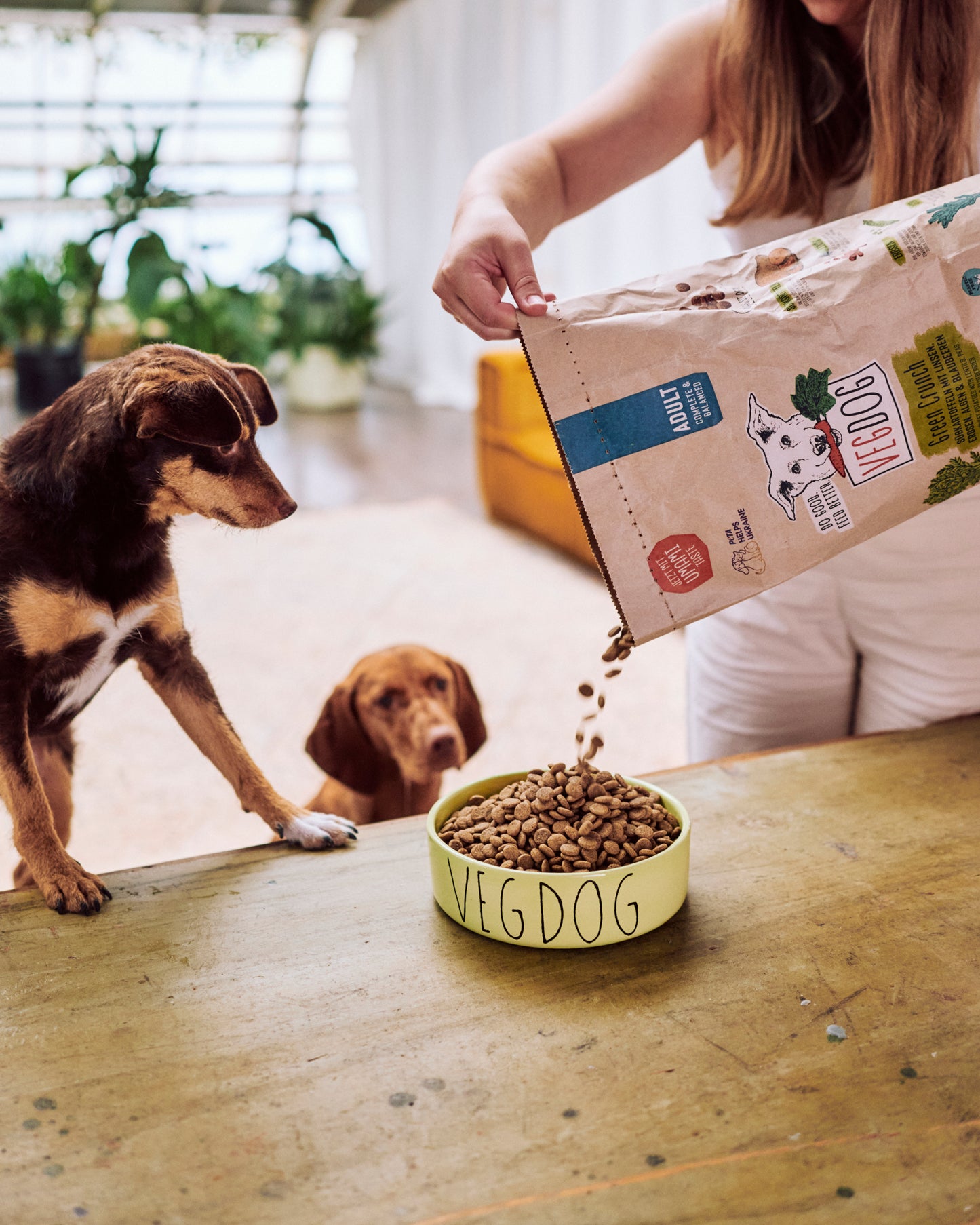 Ração Seca Vegan GREEN CRUNCH para Cães