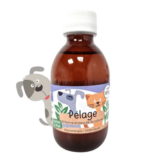 Xarope 100% Natural Pêlo Brilhante 200mL - Cães e Gatos Abaixo de 10kg