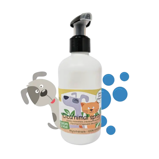 Spray Curativo 100% Natural 250ml - Cão e Gato