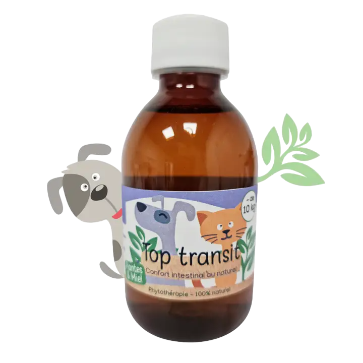 Xarope Top Transit 100% Natural 200mL - Cães e Gatos de - 10Kg